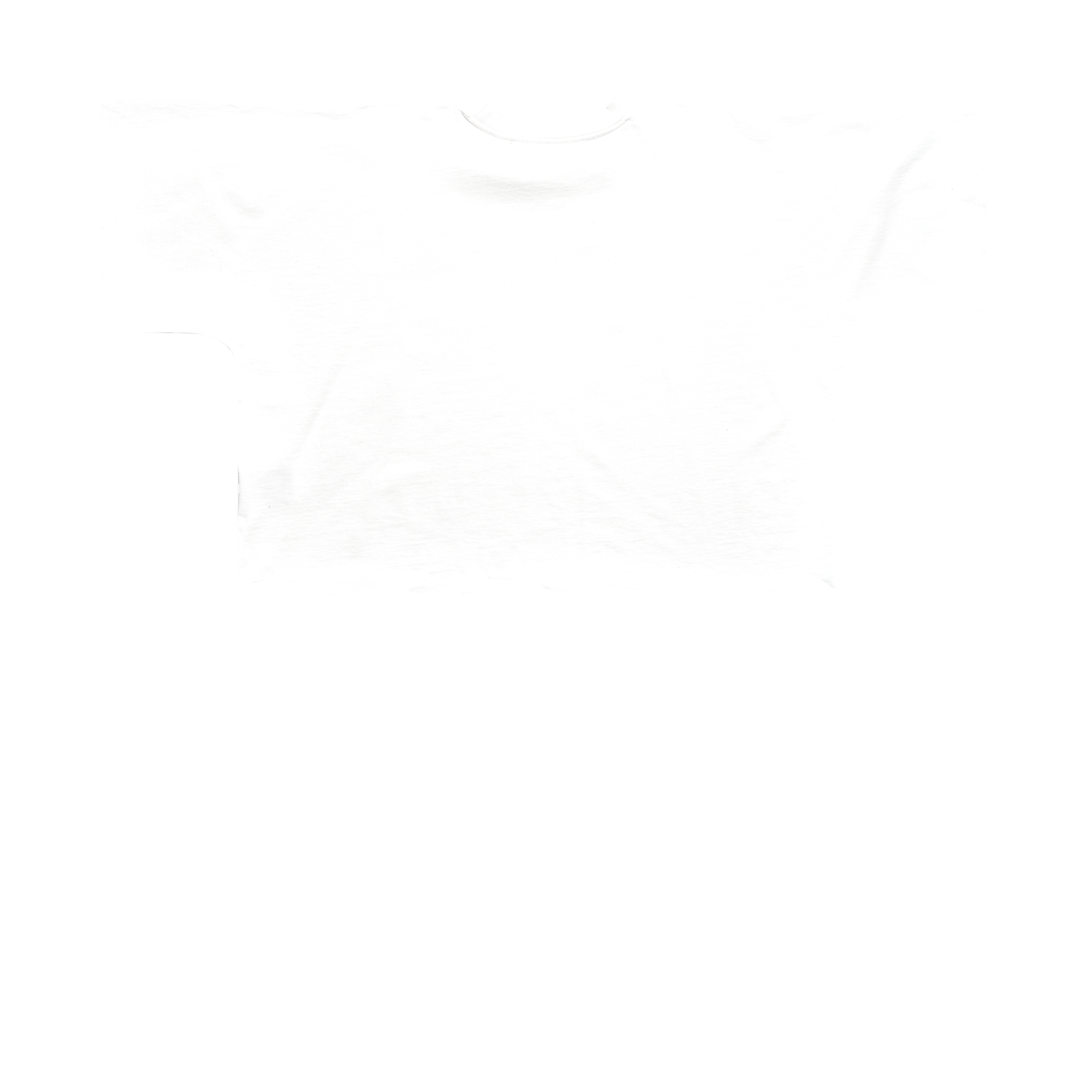 HAUTE CONSTRUCTION WHITE UF TSHIRT